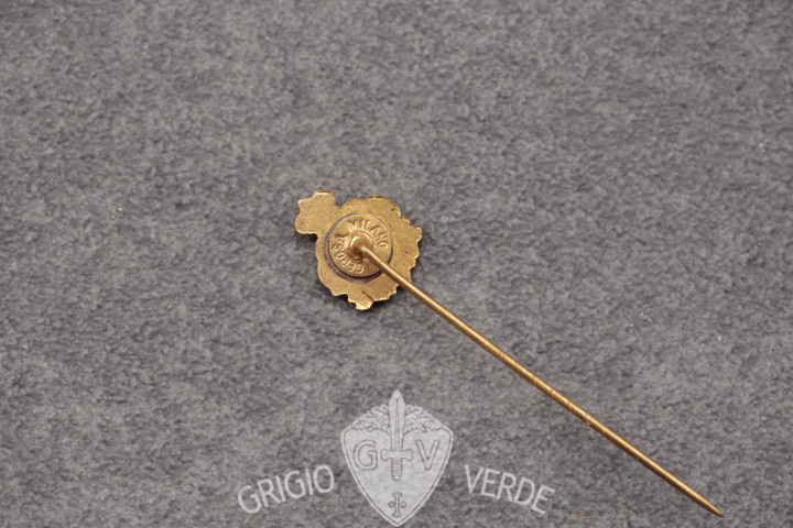 _R.A.C.I. distintivo Udine R.A.C.I. distintivo Udine