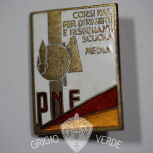 Distintivo P.N.F. dirigenti e insegnanti scuole medie