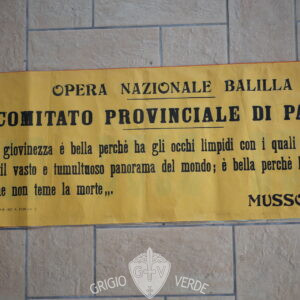 manifesto comitato provinciale di parma