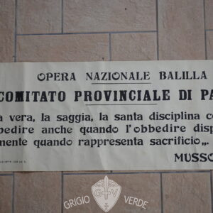 manifesto disciplina