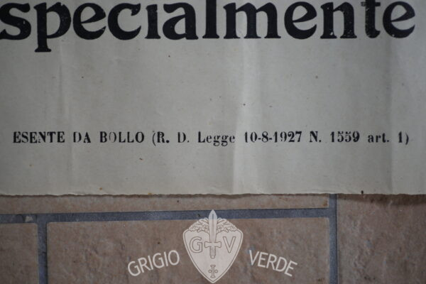 manifesto disciplina dettaglio