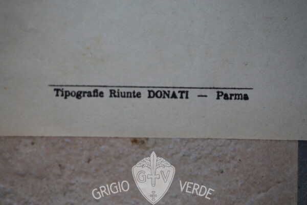 manifesto fascista sottoscrizione nazionale per il dollaro dettaglio