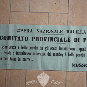 manifesto la giovinezza è bella