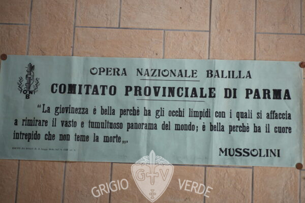 manifesto la giovinezza è bella