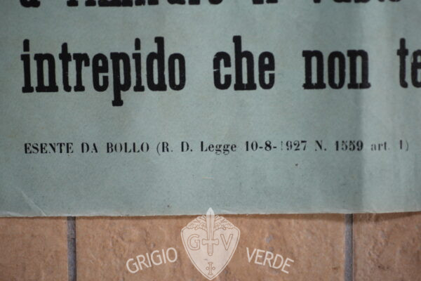 manifesto la giovinezza è bella dettaglio