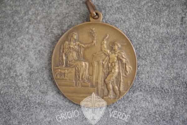 medaglia associazioni nazionale alpini