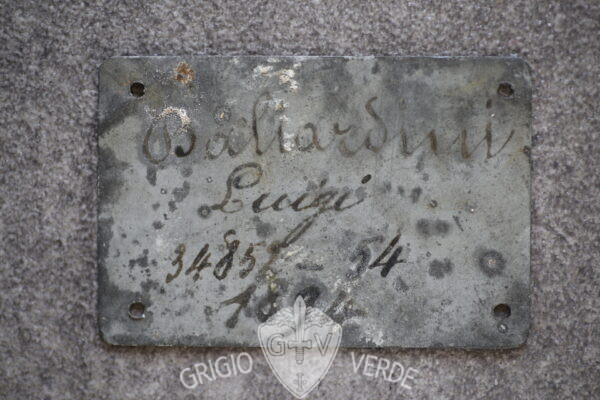 piastrina Luigi Baliardini