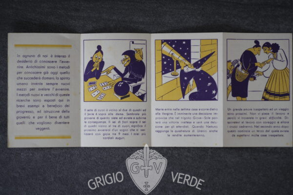 volantini S.R.I. la vera sibilla retro