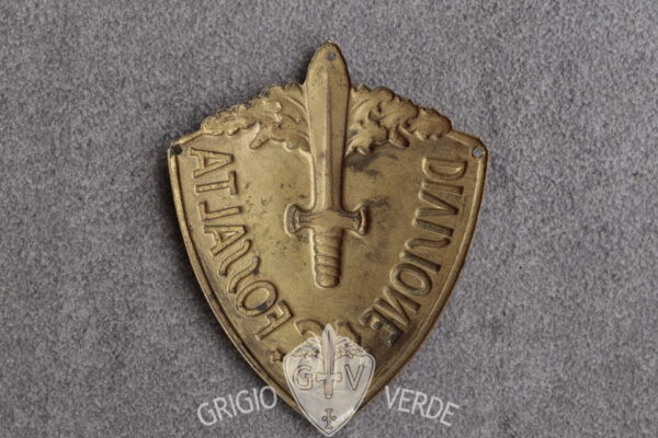 Scudetto da braccio 16° divisione fanteria Fossalta retro