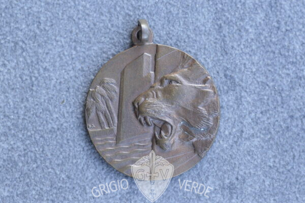 medaglia divisione speciale laghi guerra d'africa coloniale