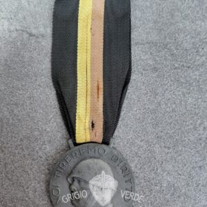 medaglia giovani universitari fascisti volontari di Roma