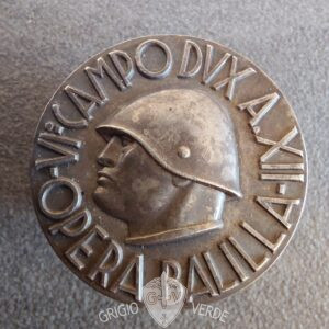 Medaglione ONB opera balilla VI° Campo DUX argento 800 #15