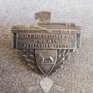 distintivo fascista Premio attitudine Ginnica