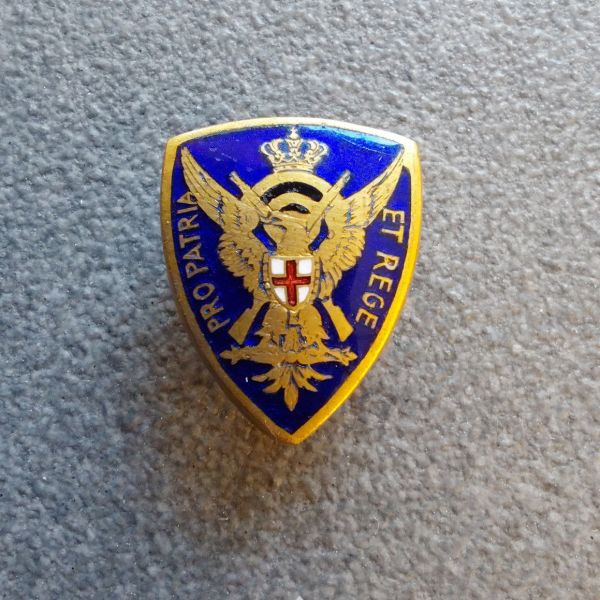 Distintivo tiro a segno Pro Patria et Rege